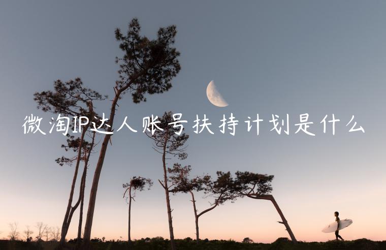 微淘IP達(dá)人賬號(hào)扶持計(jì)劃是什么